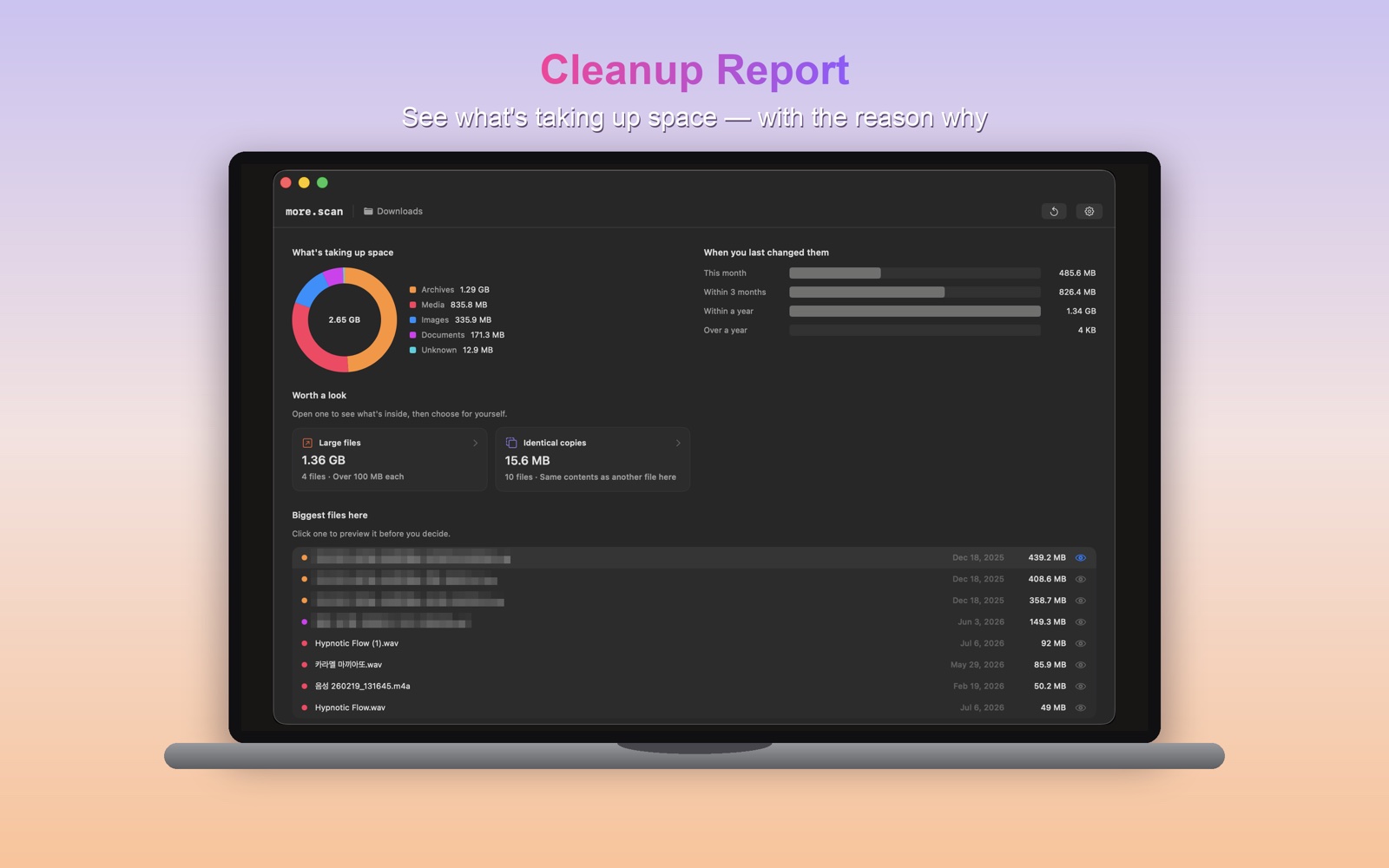 The more.scan cleanup report, grouped by kind and size.